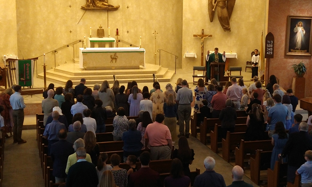 ov-OLS catechetical Sunday