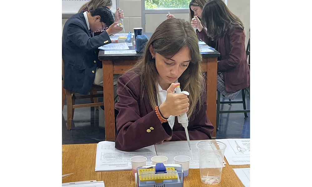 ov-st bernard biology
