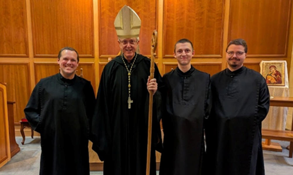 ov-st bernard novices