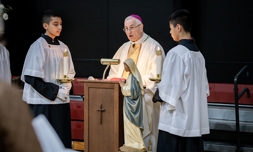 ov-raica immaculate conception 2025 st rose