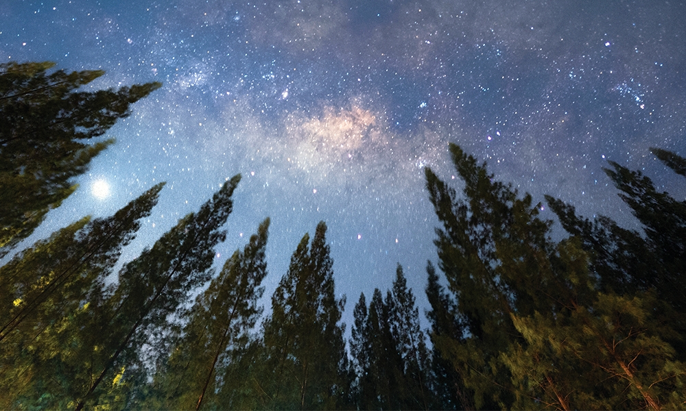 The Nicene Creed: Part Three