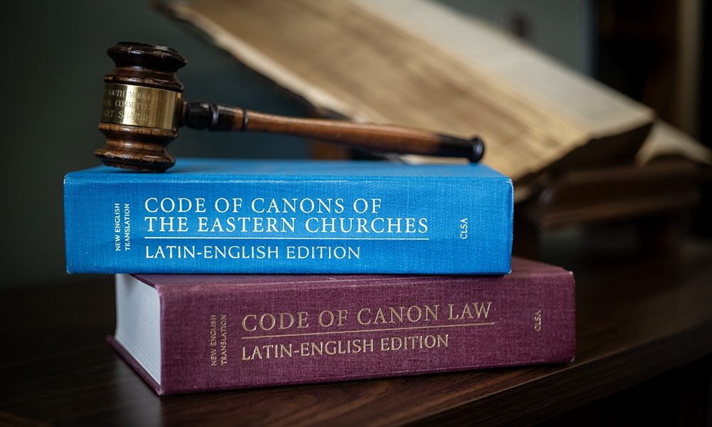 ov-advocate training