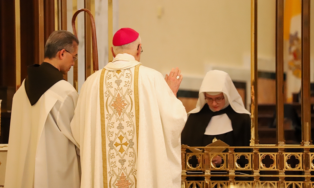 ov-raica profession 3