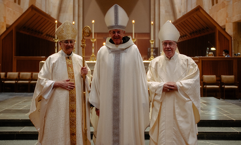 ov-raica voss thanksgiving