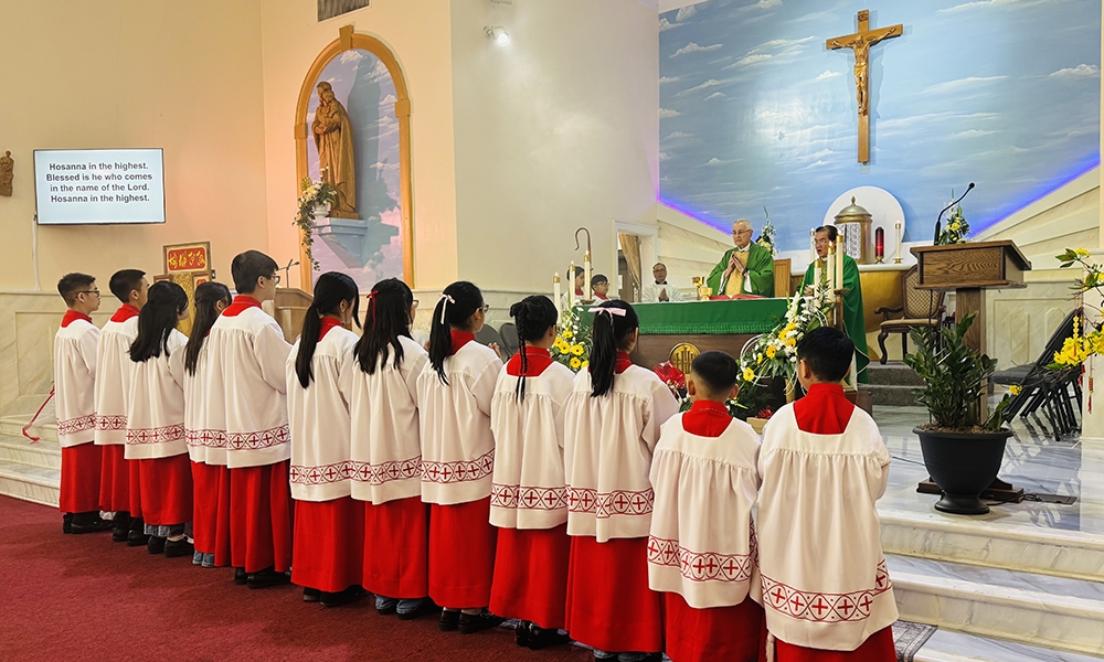 ov-our lady of lavang