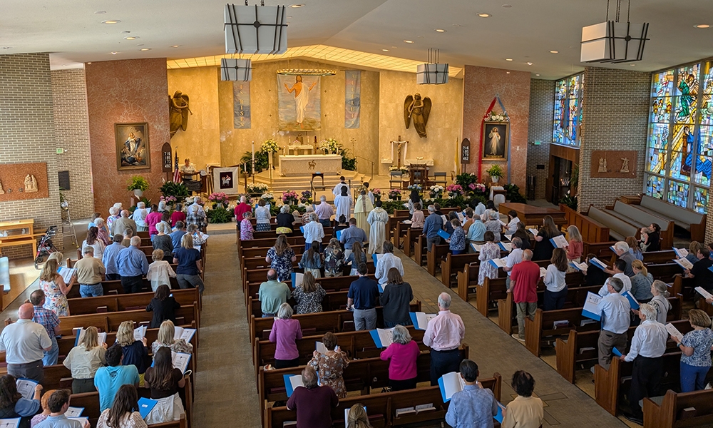 ov-ols divine mercy 1