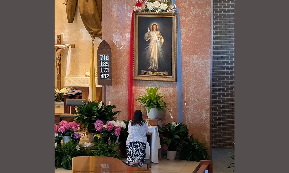 ov-ols divine mercy 2