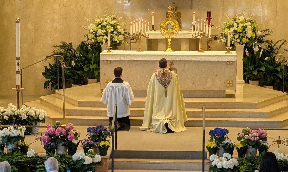 ov-ols divine mercy 4