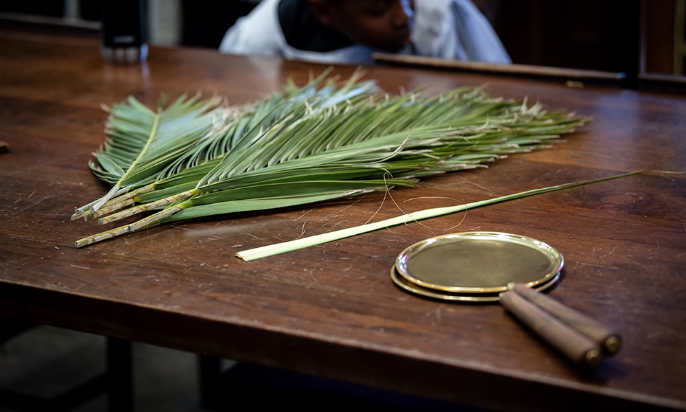 ov-raica Palm Sunday 2026 4