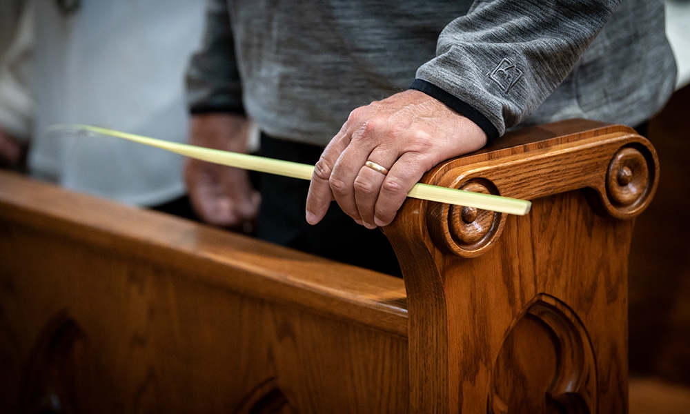 ov-raica Palm Sunday 2026 6