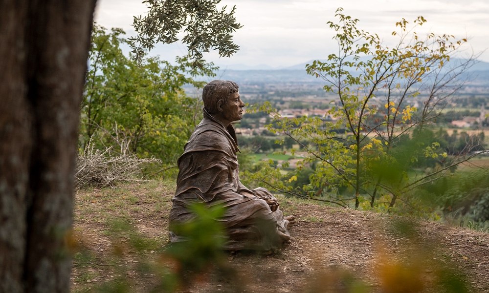 Why St. Francis matters