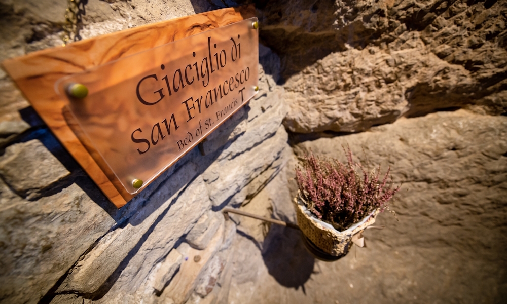 Why St. Francis matters 5