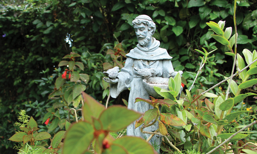 Beyond the birdbath: St. Francis’ living influence in our diocese
