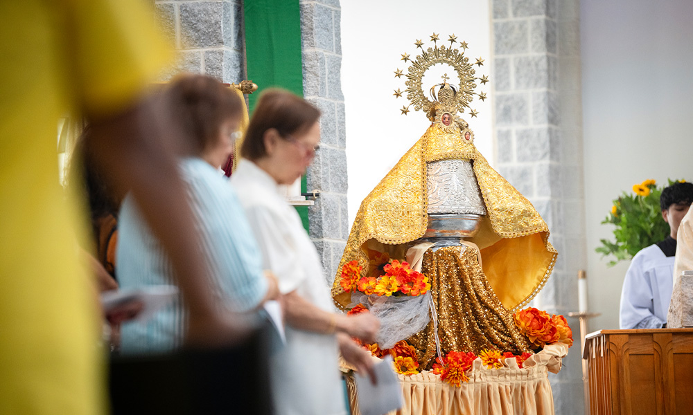 Del país de origen al hogar